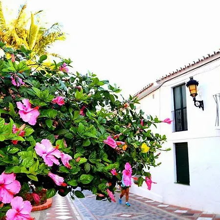 Apartment Beautiful With Sea Views, Benal